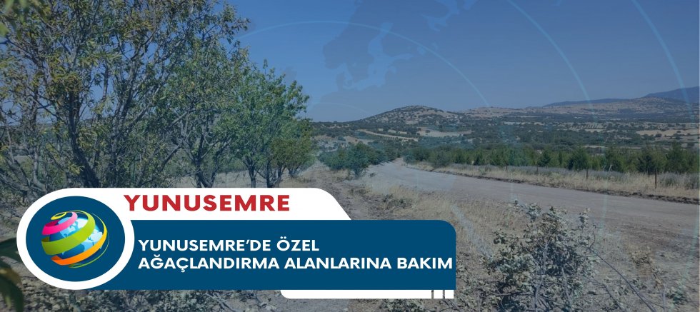 YUNUSEMRE’DE ÖZEL AĞAÇLANDIRMA ALANLARINA BAKIM