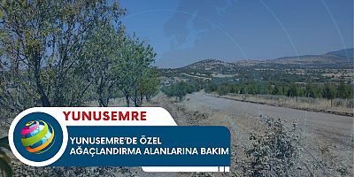 YUNUSEMRE’DE ÖZEL AĞAÇLANDIRMA ALANLARINA BAKIM