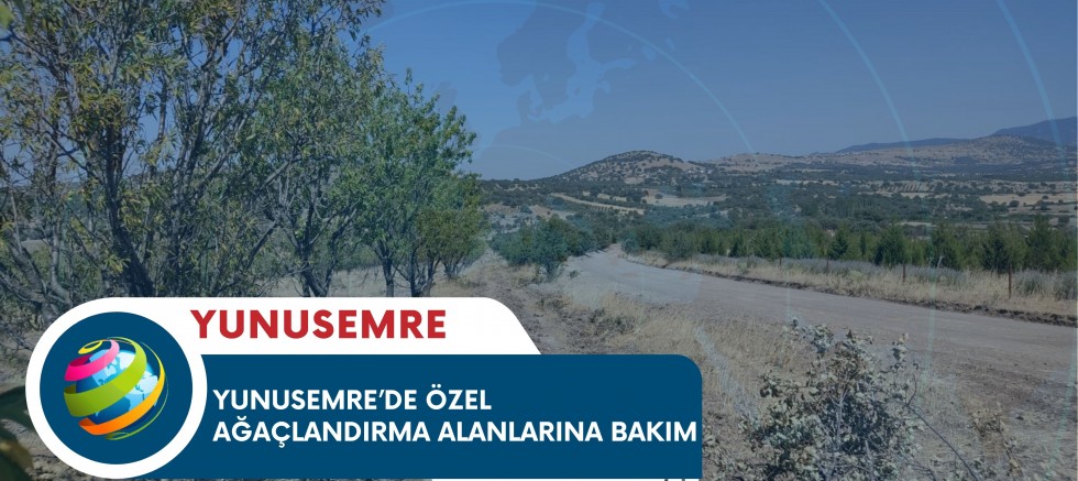 YUNUSEMRE’DE ÖZEL AĞAÇLANDIRMA ALANLARINA BAKIM